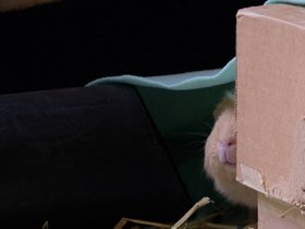 2022-12-22 Polly's nose.jpg